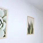 Chic La Caleta 아파트
