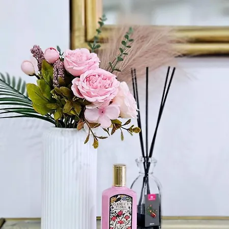 Chic La Caleta * La Medida