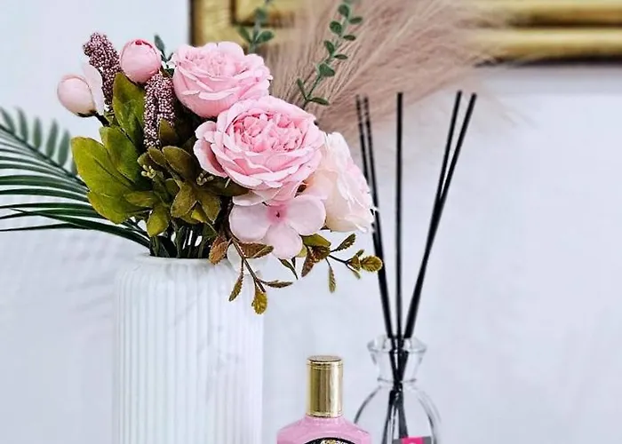 Chic La Caleta * La Medida